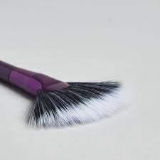 Tarte Fan Brush